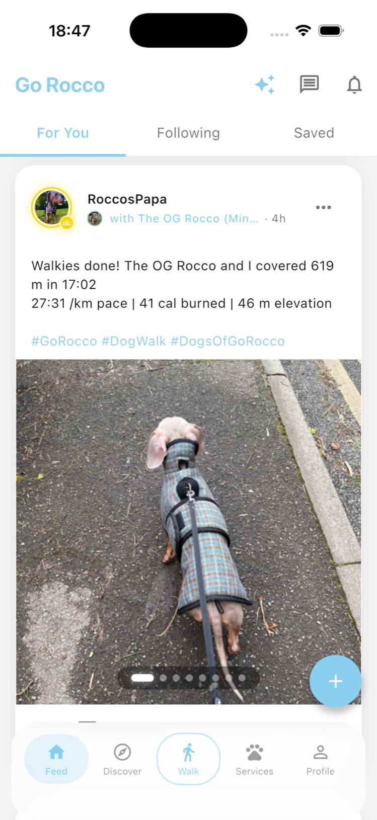 Go Rocco social feed on Android